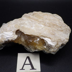 Rucks Pit Golden Calcite Clam