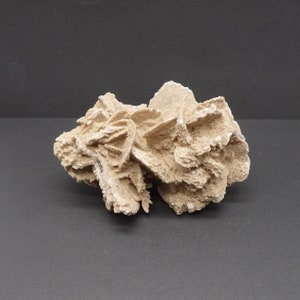 Very Nice Double Cluster Desert Rose from Chihuahua Mexico Selenite Rose Gypsum Rose Sand Rose 4.0 inches long