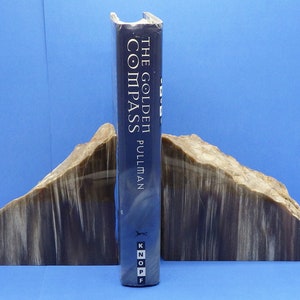 Polished Arizona Rainbow Petrified Wood Great Bookend Set Amazing Colors and Patterns Over 7lbs