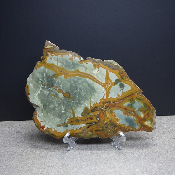 Made by Nature Oregon Polished Rocky Butte Picture Jasper Slab Marked by Mother Nature Polished by Rock It 8.6 inches long