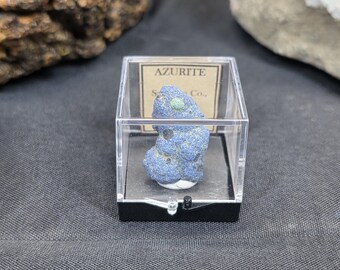 Rare Azurite Blueberry Cluster, La Sal Utah Mineral Specimen (1.25" Perky Box)