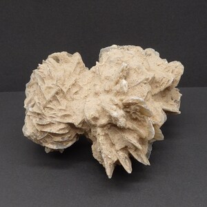 Beautiful Four Cluster Desert Rose from Chihuahua Mexico Selenite Rose Gypsum Rose Sand Rose 4.4 inches long