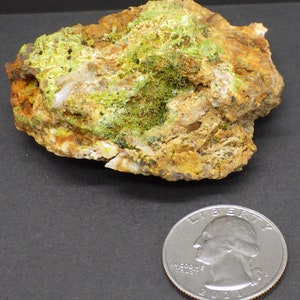 May include: A rough, brown rock with green and white mineral deposits. The rock is about the size of a US quarter.