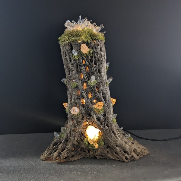 Stunning Cholla Wood with Arkansas Clear Quartz Crystals and LED Light Amazing Cholla Crystal Lamp