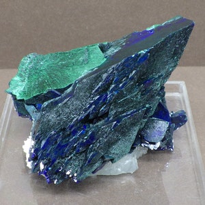 Amazing Azurite Pseudomorph to Malachite Crystal Cluster 537carat 107gram from Milpillas Mine, Cuitata, Municipio de Cananea, Sonora, Mexico