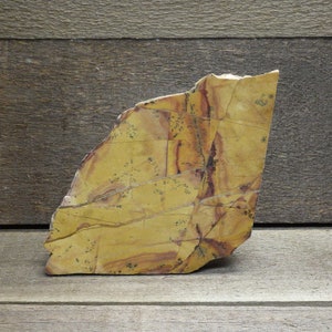 May include: A large, irregularly shaped piece of polished stone with a yellow, orange, and brown color pattern. The stone has a smooth, polished surface and a rough, natural edge.