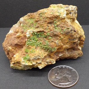 May include: A rough, brown rock with green crystals embedded in it. The rock is about the size of a US quarter.