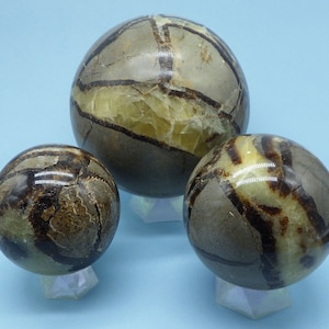Septarian Dragon Stone Sphere Selection Nice UV under Black Light