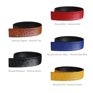 Op de afbeelding: Vier verschillende gekleurde leren riemen met een struisvogelhuidpatroon. De riemen zijn gelabeld met hun kleur en het type leer: Ostrich Tan, Ostrich Black, Ostrich Red, Ostrich Sax Blue en Ostrich Yellow.