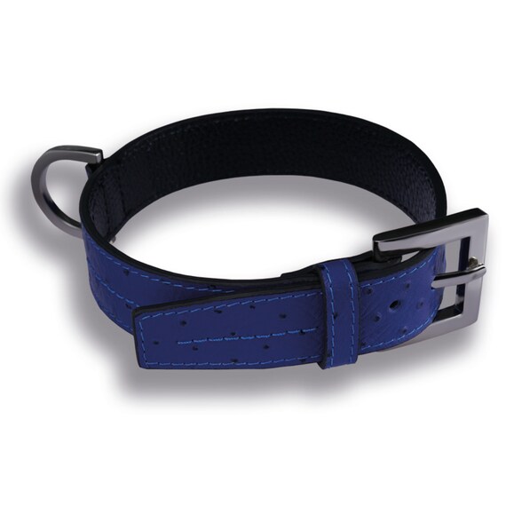 Matching belt and dog collar hotsell