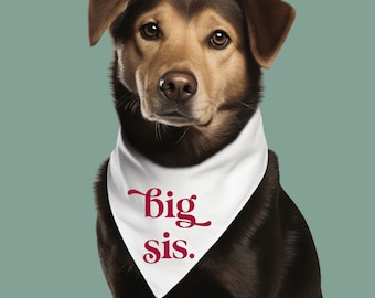 Big sister dog bandana | baby announcement | big sis custom | personalized | pet | dog lover | dog mom | dog scarf | Cat