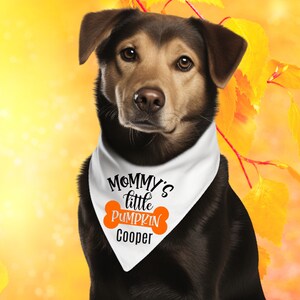 Halloween dog bandana | dog scarf | personalized | customized | cat | dog mom | fall | puppy | cat | pet costume | little pumpkin