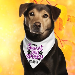 Halloween dog bandana | dog scarf | personalized | customized | cat | dog mom | fall | puppy | cat | pet costume | sweet and spooky
