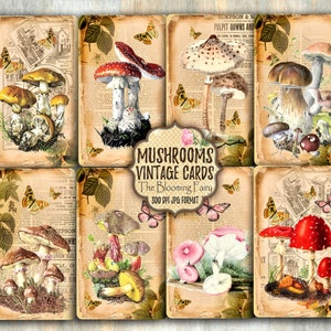 Digital Mushrooms ATC Cards, Vintage Embellishments Mushrooms, Mushrooms Ephemeras Printable, Junk Journal Cards, Journal Embellishments