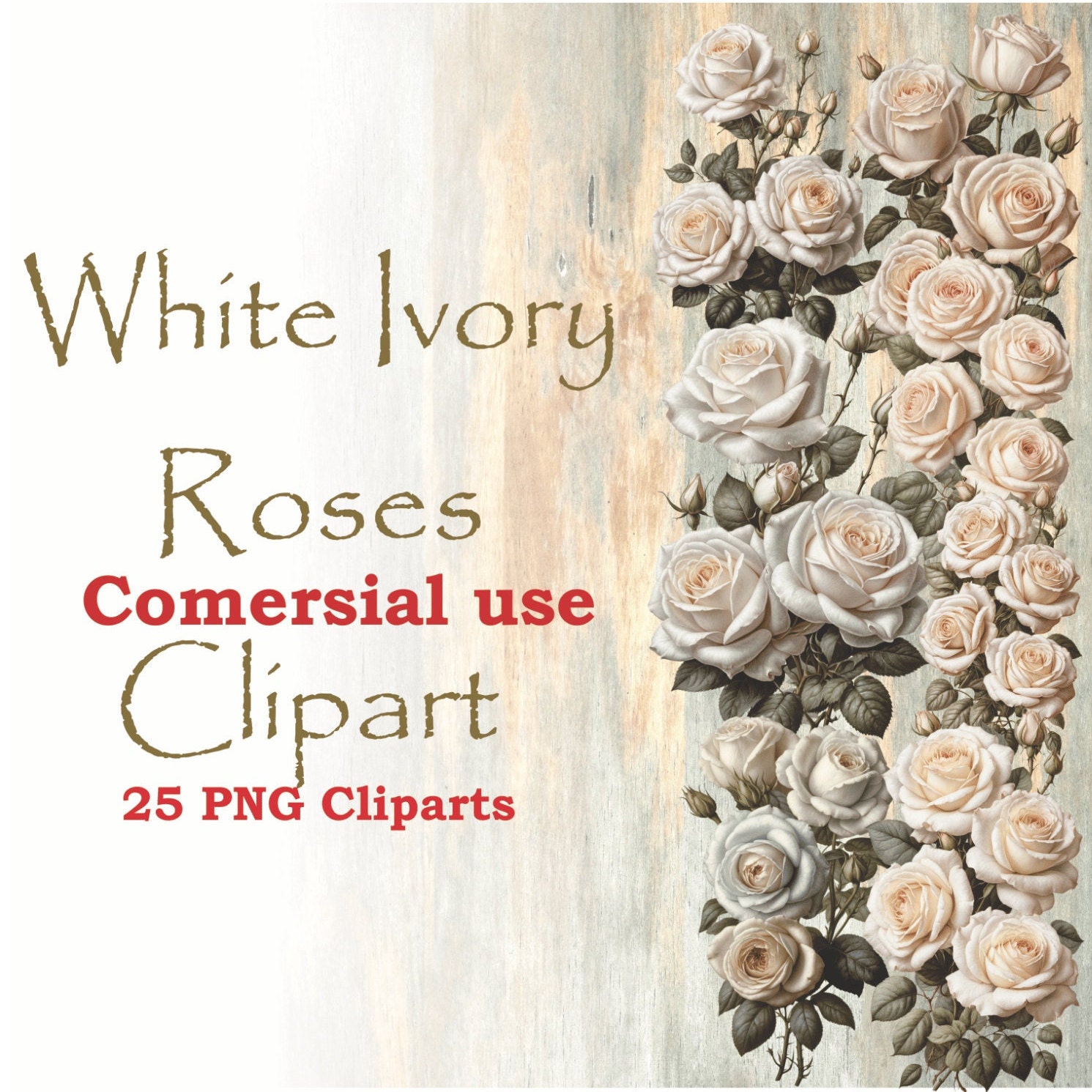 White Roses Clipart, Ivory Roses PNG, White Roses Clipart Transparent Background, White Rose Clipart illustration, Vintage Roses Clipart