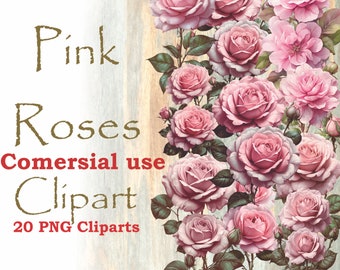 Victorian Pink Roses Clipart, Pink roses PNG, Vintage Roses Transparent Background, Pink Rose Clipart illustration, Vintage Roses Clipart