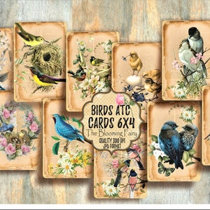 Uccelli ATC Cards, Vintage Birds Embelishments, ATC Ephemera ATC Cards, Junk Journal Ephemera, Birds Cards, Junk Journal Embellishments Card