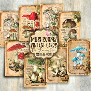 Mushrooms ATC Cards, Vintage Mushrooms Embelishments, Vintage Ephemera Printable, Junk Journal Ephemeras, Shabby Mushrooms Cards Digitals