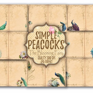 Pavão simples, páginas de diário de lixo de pavão, folha de colagem de pavão, papel de scrapbooking de pavão, imprimíveis de pavão, fundo digital de pavão
