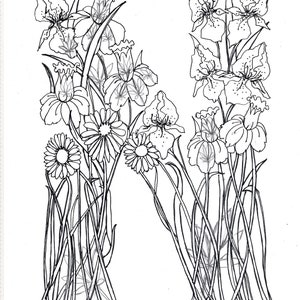 May include: Black and white floral illustration of the letter "N". The letter is formed by various flowers, including daisies and irises, with long stems and leaves. The artwork is signed "Shellene 2006".