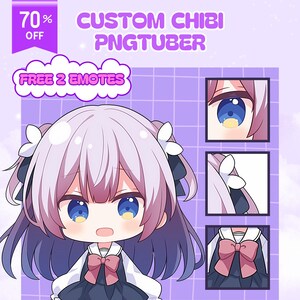 Custom Chibi Pngtuber Live2D Model, Pngtuber Character Design for Stream, Twitch, YouTube & Facebook Commission, Cute, Chibi, Avatar