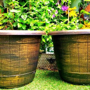 May include: Two large, round, brown planters with a textured, wood-grain appearance. The planters are set on a bed of green grass, with lush greenery and flowers in the background. The planters have a diameter of approximately 61 cm.