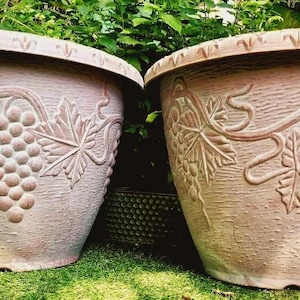 May include: Two large, beige-coloured planters with a textured finish. Each planter features a raised relief design of grape vines and leaves. The planters are set on a bed of green grass, with foliage in the background.