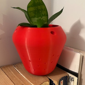 Strawberry Pot/Planter