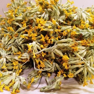Primula Veris, Harvest 2024, Organic Cowslip Flower, Mountain Dried Herbs, Flowers & Leaf