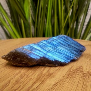 Könnte beinhalten: Ein polierter Labradorit-Edelstein mit einem auffälligen blauen Schimmer. Der Stein hat eine raue, natürliche Kante und eine glatte, polierte Oberfläche. Die blaue Farbe ist am deutlichsten auf der Oberseite zu sehen, mit dunkleren Brauntönen an den Kanten. Der Edelstein wird auf einer Holzoberfläche präsentiert.