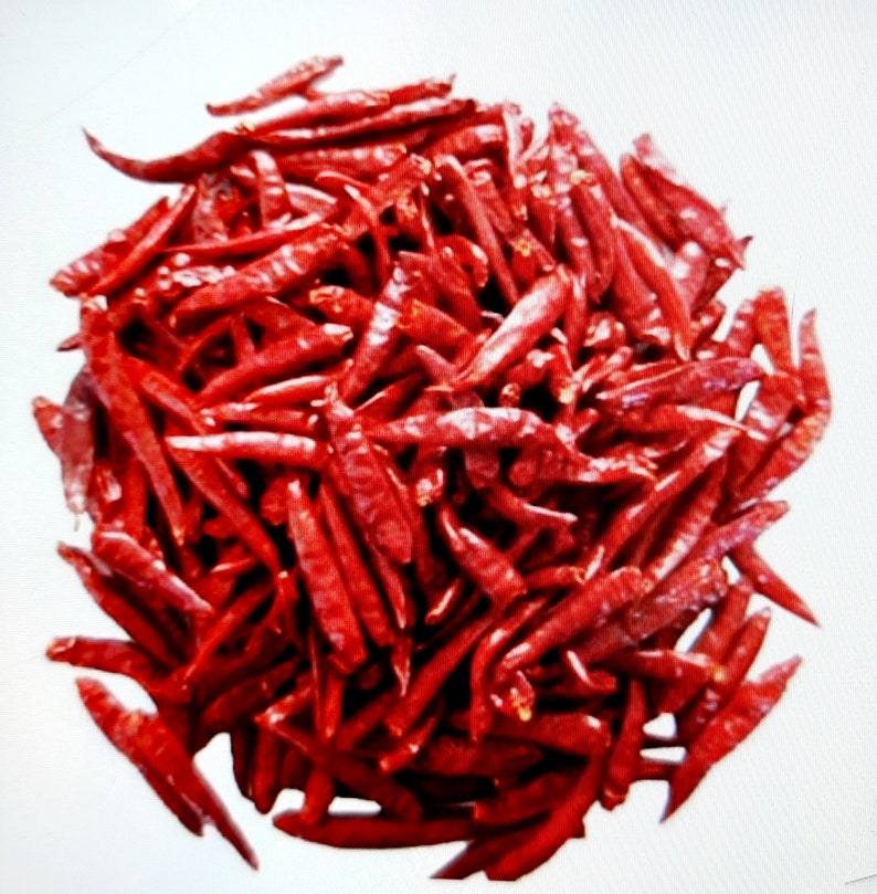 Pur Organic Jodhpuri Rajasthani Chilli Red Chilli Whole Indian and Pure Lal Mirch Sabut image 1