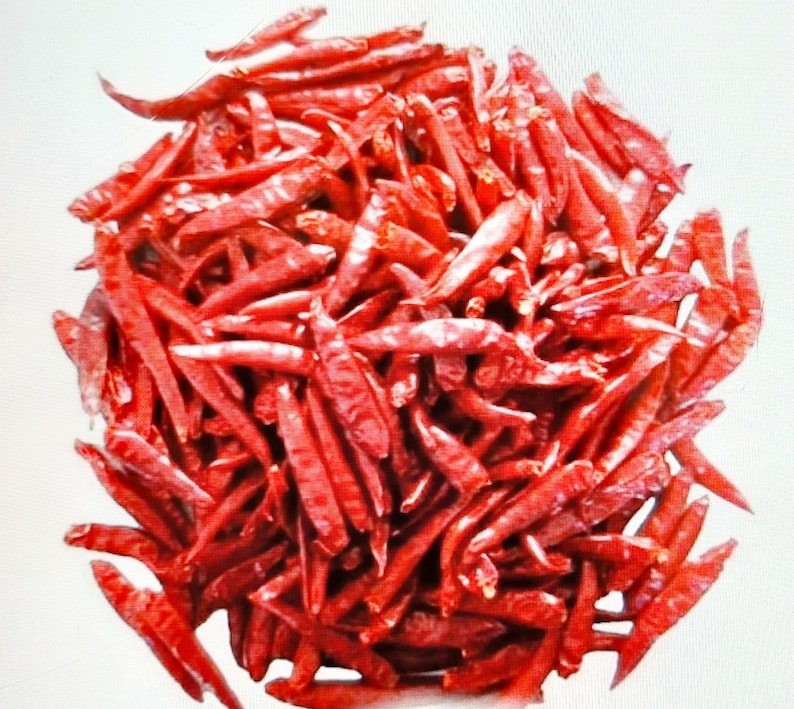 Pur Organic Jodhpuri Rajasthani Chilli Red Chilli Whole Indian and Pure Lal Mirch Sabut image 4