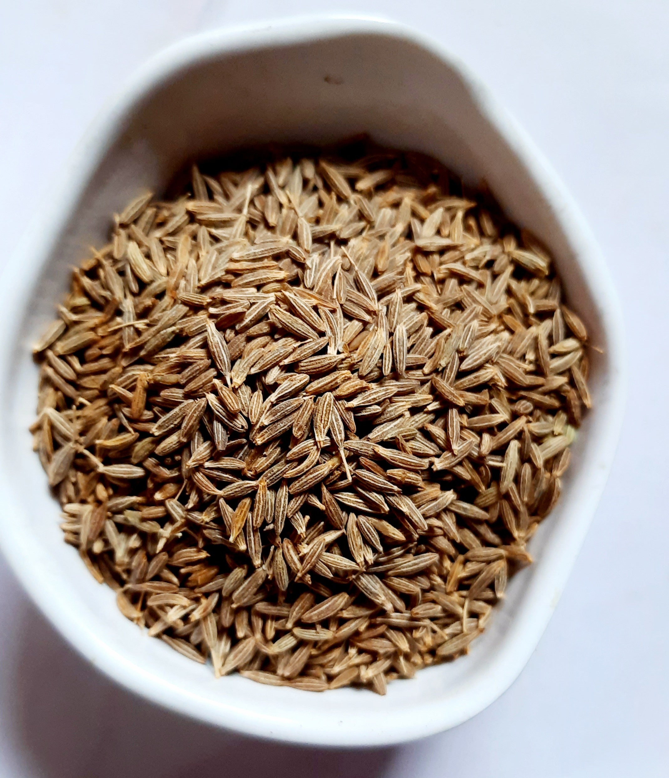 Black Cumin Seedsshahi Jeera Caraway Seeds Indian Pure Etsy