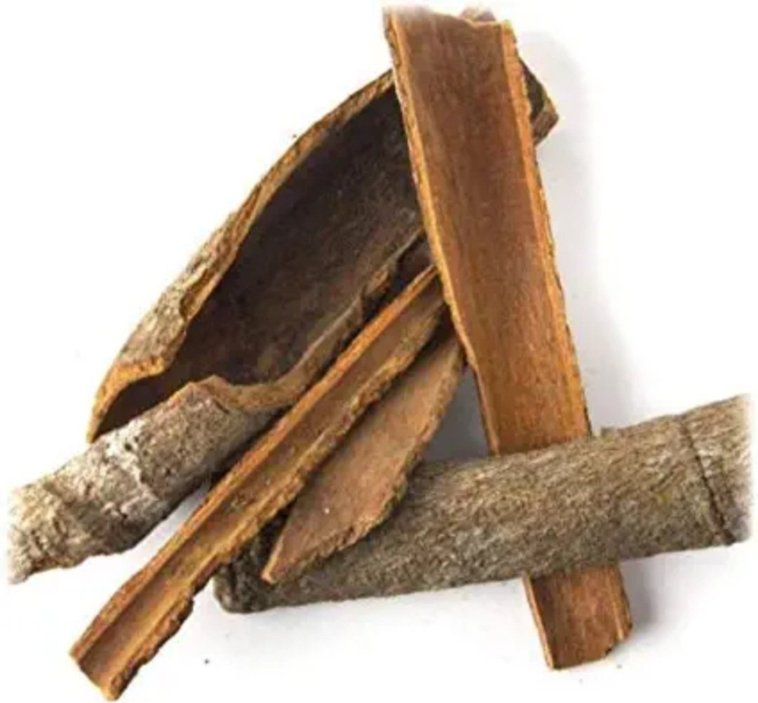 Organic Pure Ashok Chaalsaraca Indicakankalimaraashoka Etsy