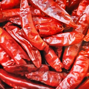 Pur Organic Jodhpuri Rajasthani Chilli Red Chilli Whole Indian and Pure Lal Mirch Sabut image 2