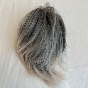 Könnte beinhalten: Eine graue und hellblonde Ombre-Perücke mit einem kurzen, abgehackten Stil.