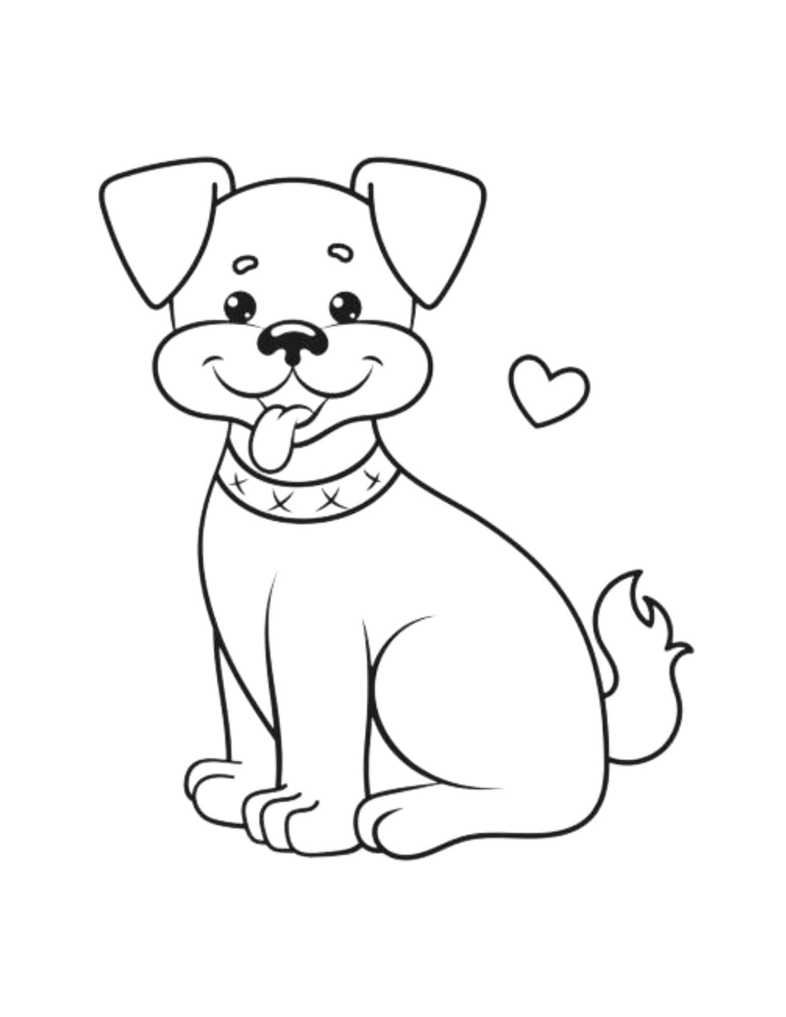 Digital Animal Coloring Book - Etsy