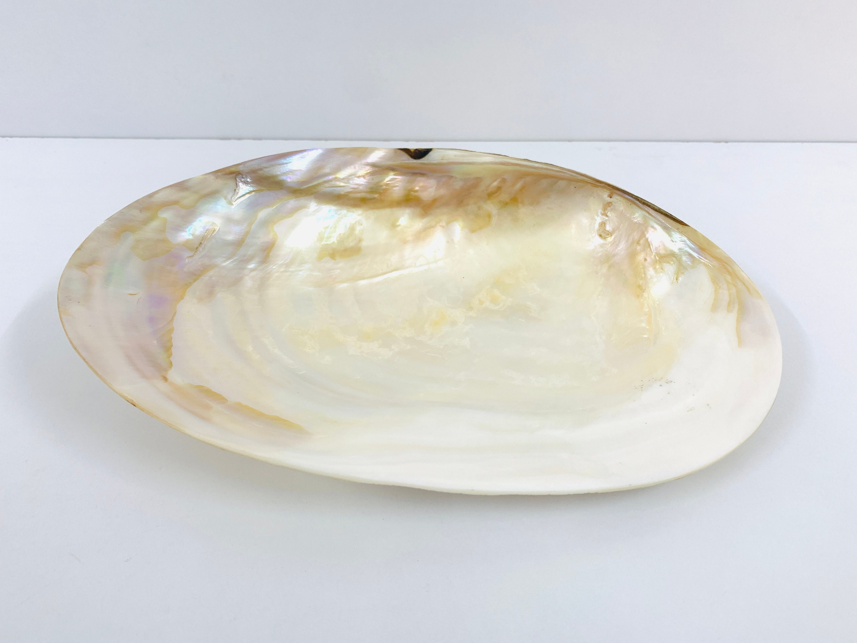 アンティークピンディッシュ Mother of Pearl Shell 【公式通販】