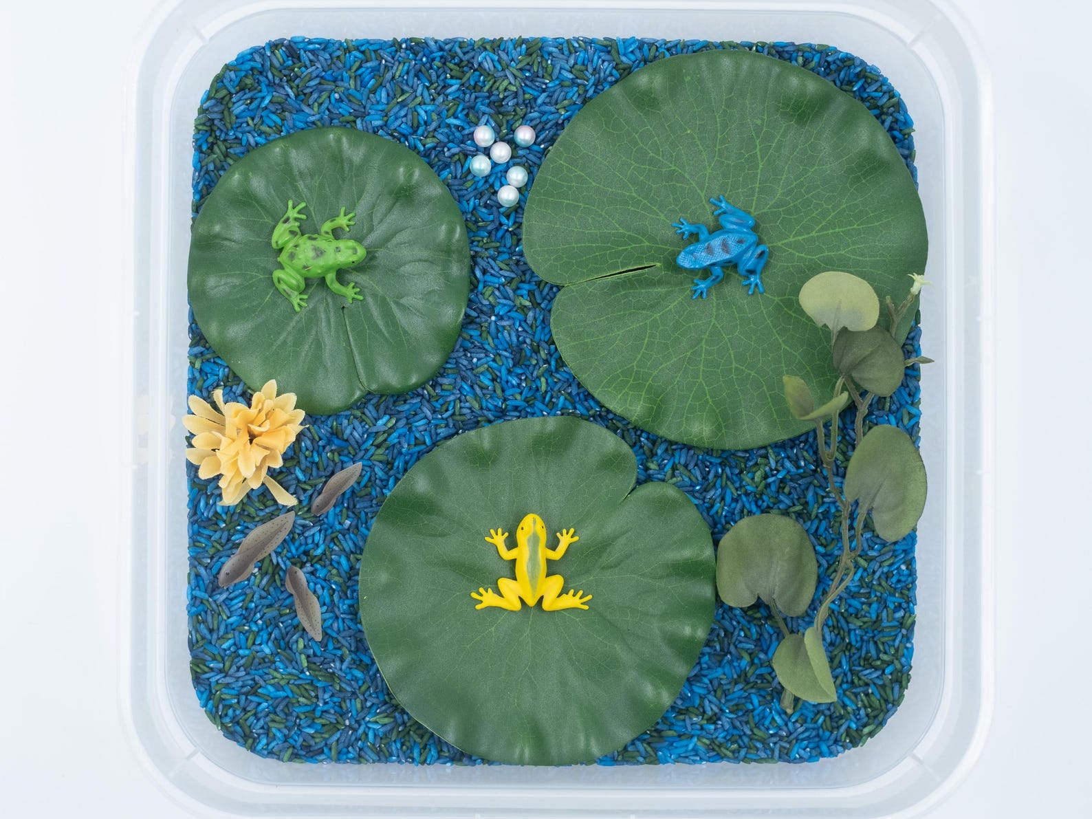 Frog Pond Sensory Bin: ABC Learning Toy - Etsy