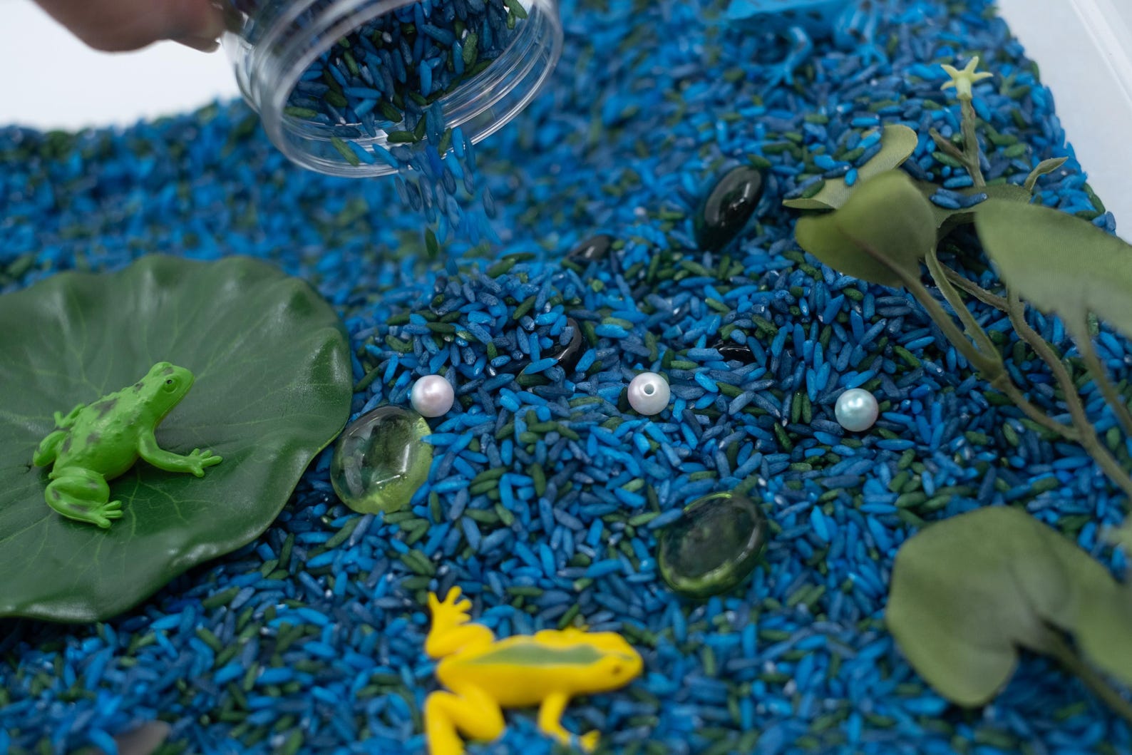 Frog Pond Sensory Bin: ABC Learning Toy - Etsy