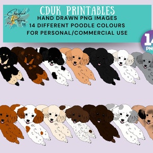 Poodle Dogs clipart, transparent pngs for commercial use