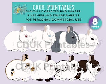 Netherland Dwarf Rabbit Clipart 1 for commercial use, stickers, cardmaking,