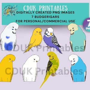Budgerigar Clipart for commercial use, stickers, cardmaking,