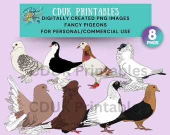 Fancy Pigeons Clipart for commercial use, stickers, cardmaking,