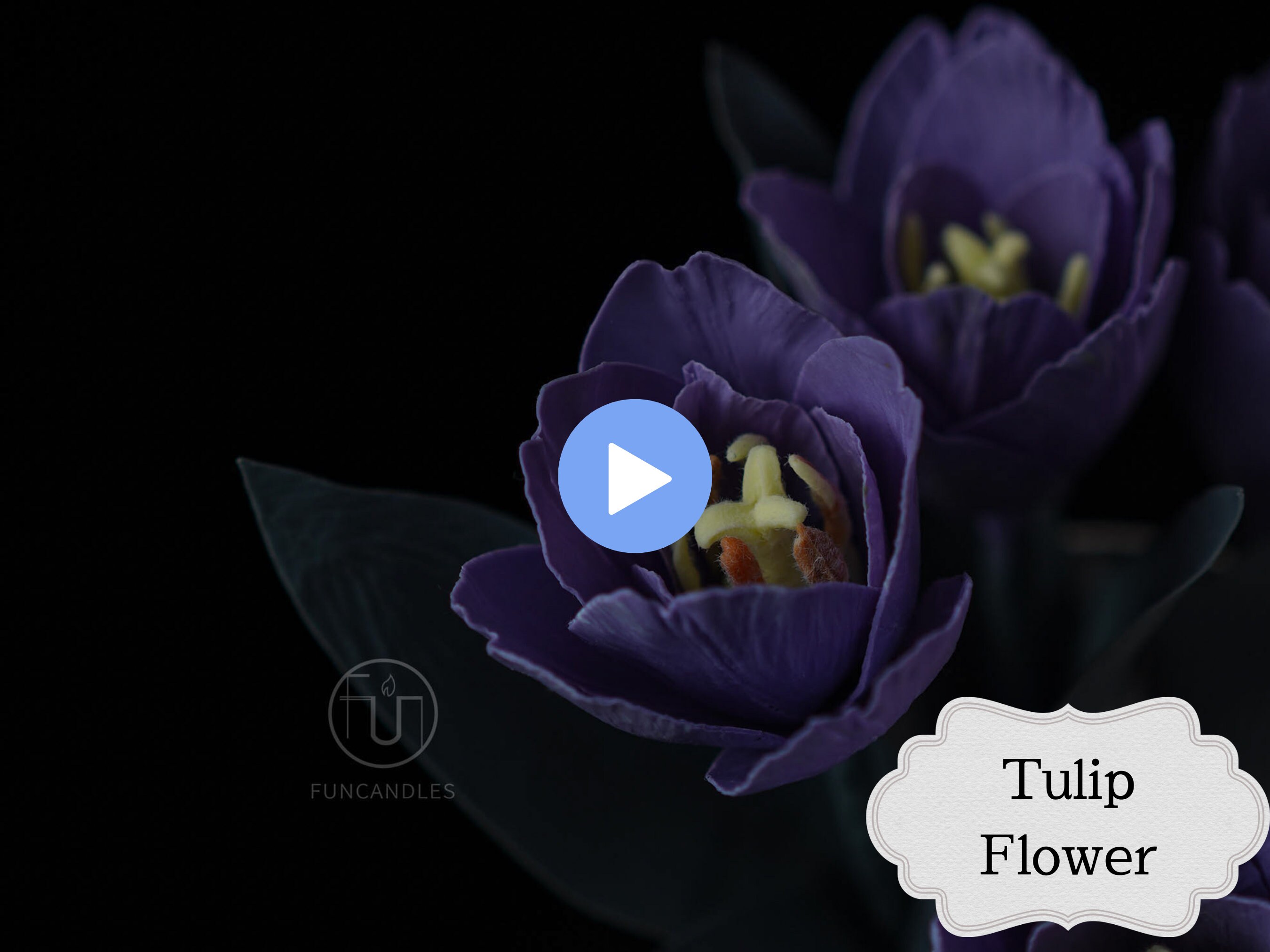 TULIP Flower Candle Making Course Healthy Beeswax Candle, Purple Tulip