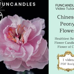 CHINESE PEONY flower candle making course • healthy beeswax candle, big pink flower candle recipe, good for beginners