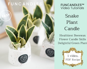 SNAKE PLANT flower candle making course • healthy beeswax candle, snake plant candle recipe, good for beginners