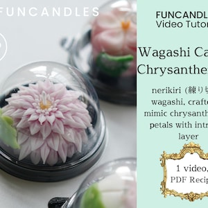 Könnte beinhalten: Nahaufnahme von drei Wagashi Chrysanthemen-Kerzen unter transparenten Plastikkuppeln. Die Kerzen sind so gefertigt, dass sie Chrysanthemenblütenblätter mit komplizierten Schichten nachahmen. Die Kerzen sind rosa und weiß. Das Bild enthält auch den Text "FUNCANDLES Video Tutorials".