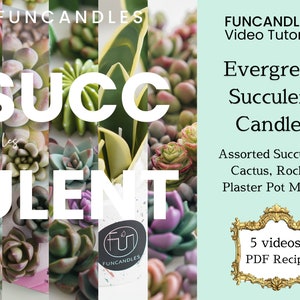 Könnte beinhalten: Eine Sammlung von immergrünen Sukkulenten-Kerzen mit verschiedenen Sukkulenten, Kakteen, Steinen und einem Gips-Topf. Das Bild enthält den Text "FUNCANDLESTM Video Tutorials", "Evergreen Succulent Candles", "Assorted Succulents, Cactus, Rocks & Plaster Pot Making", "5 videos, PDF Recipe" und "FUNCANDLES".