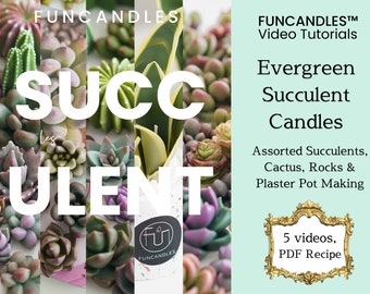 5-in-1 • SUCCULENT candle making course • assorted succulent candles, cactus candles, rock and pot, flower candle recipe, good for beginners